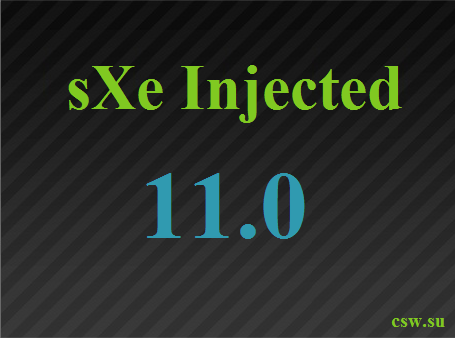  sXe Injected 11.0